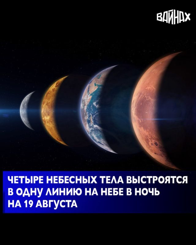             19 : ,   ,         
