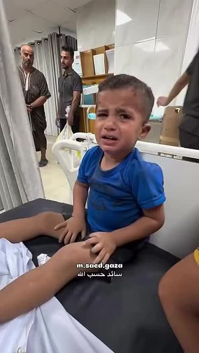        ,             