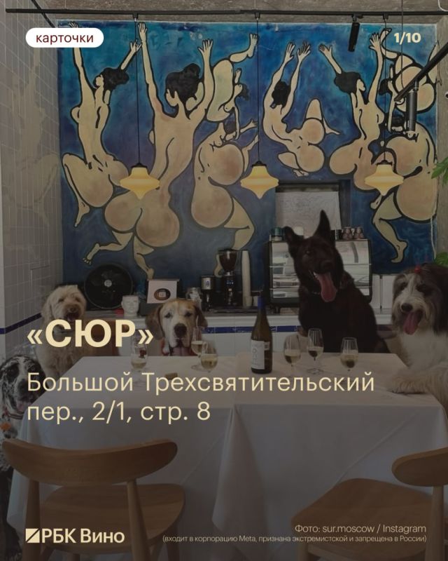 12 дог-френдли баров Москвы