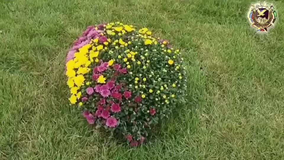   .            .         .    ...