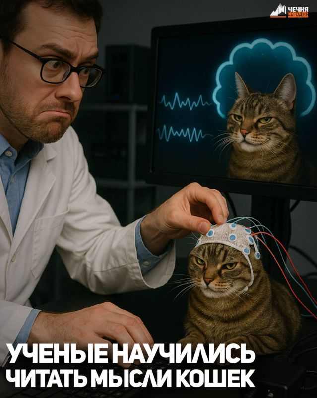 Ученые научились читать мысли кошек