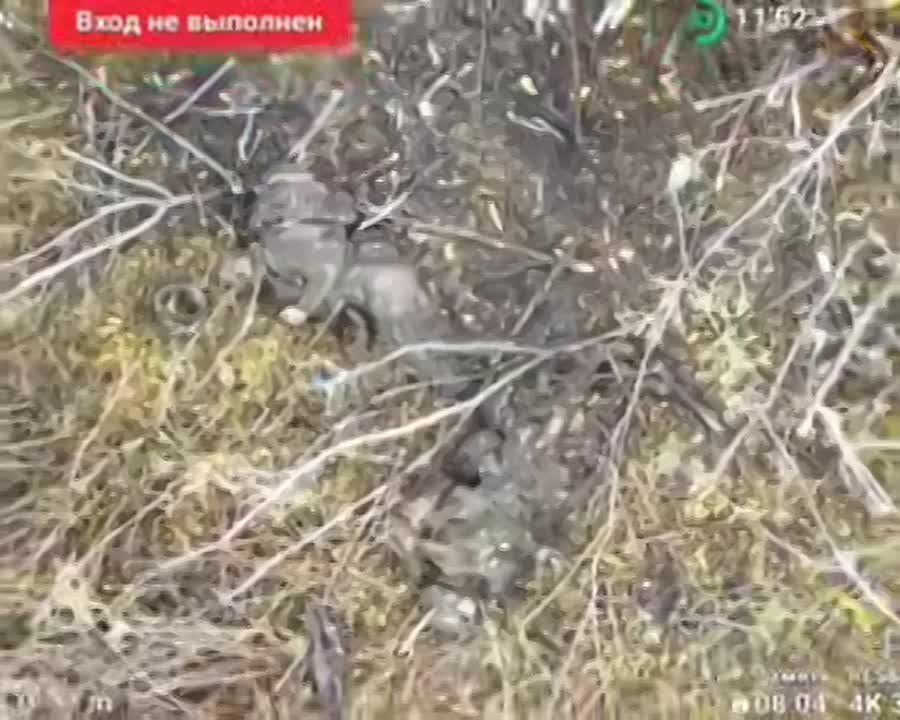 Разведка дронов группы «Аида» сорвала ночную атаку ВСУ на позиции спецназа «АХМАТ» МО РФ