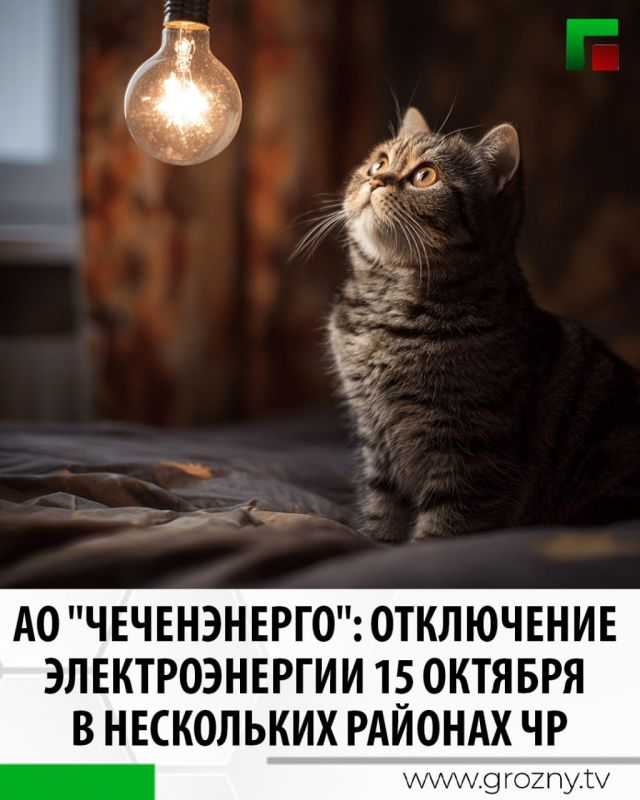 15 октября специалисты АО "Чеченэнерго" проведут техническое обслуживание электросетевого оборудования