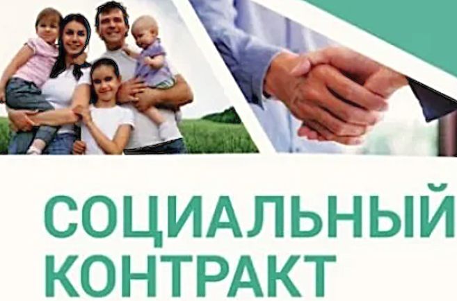 Государственная поддержка: как получить 200 тысяч рублей на развитие подсобного хозяйства