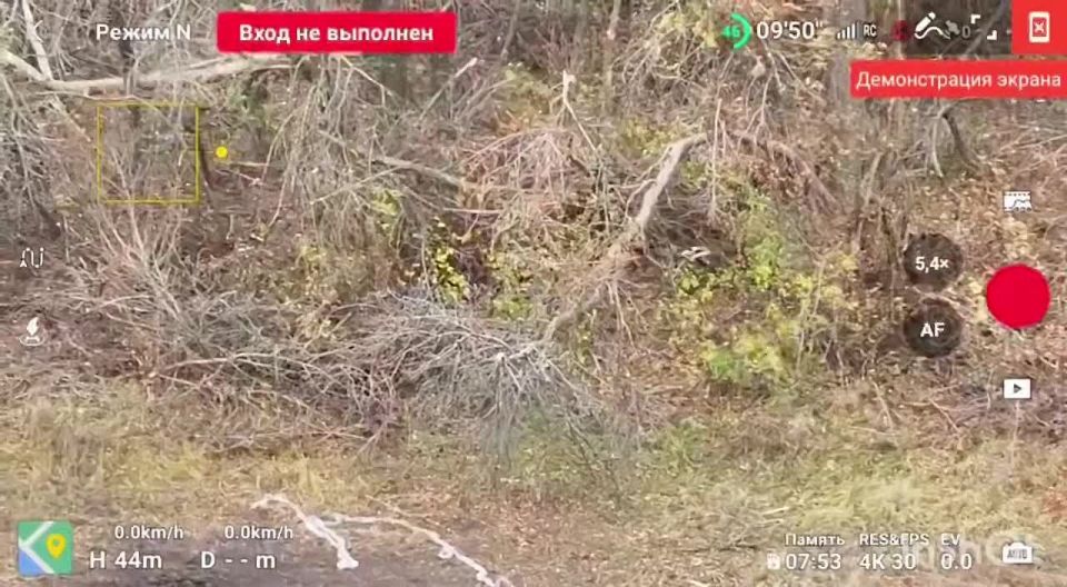 Воздушные наблюдатели спецназа «АХМАТ» сорвали маскировку противника на Сумском направлении