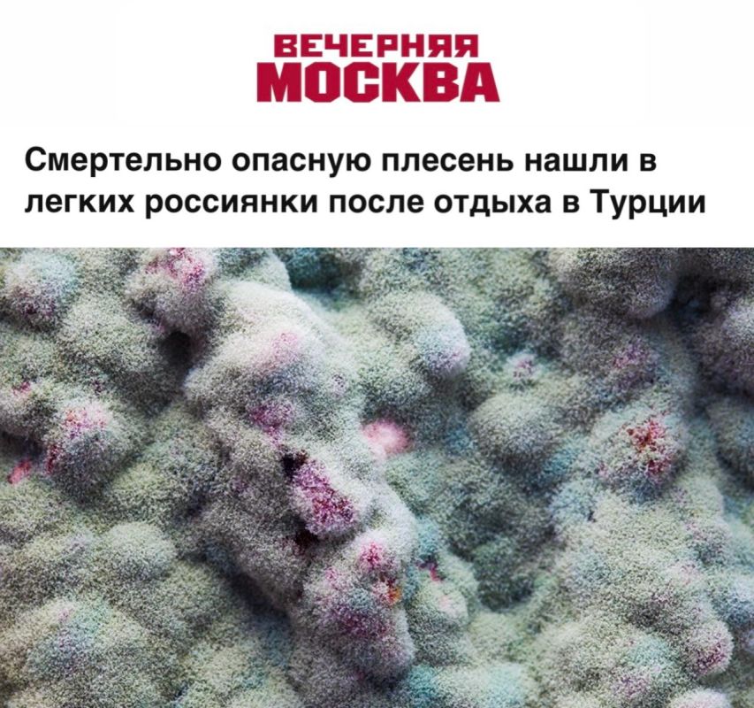 «Смертельно опасную плесень нашли в легких россиянки после отдыха в Турции»: Болезнь развивалась незаметно в течение двух месяцев после возвращения домой