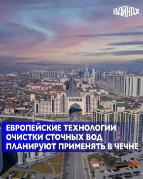 Возможности совместной работы с европейской компанией MAREX TECHNOLOGY обсудили в Чеченской Республике