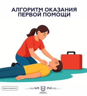 Алгоритм оказания первой помощи