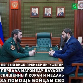 Магомед Даудов провёл встречу с первым вице-премьером Республики Ингушетия Магомедом Евлоевым