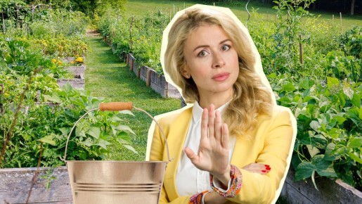 Не добавляйте эти средства в зеленое удобрение: погубите весь урожай