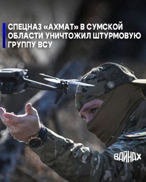 В Сумской области в районе села Алексеевка отправилась к Бандере штурмовая группа ВСУ