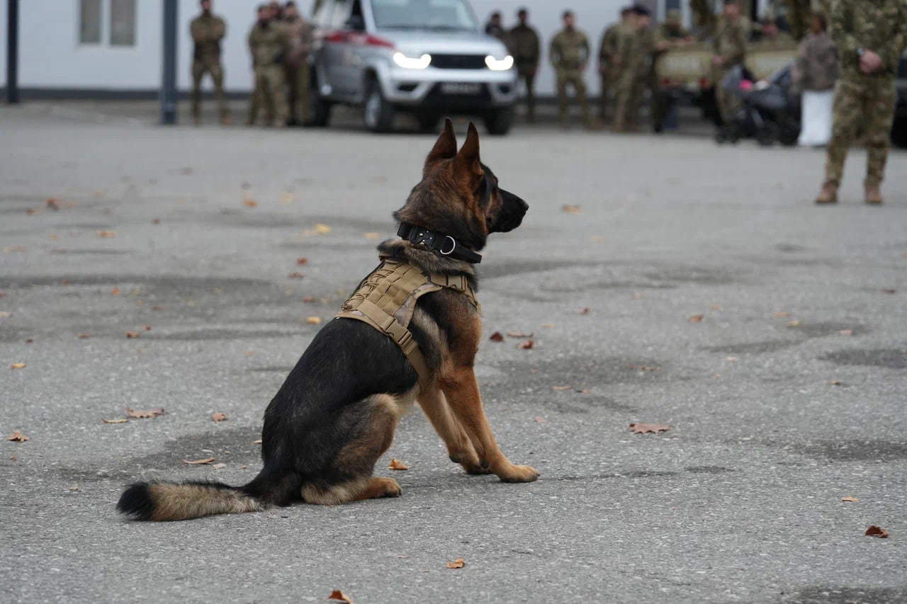 Отряд содействия полиции «Тигр» из Пензенской области посетил Российский университет спецназа имени Владимира Путина Отряд содействия полиции «Тигр» из Пензенской области посетил Российский университет спецназа имени Владимира Путина