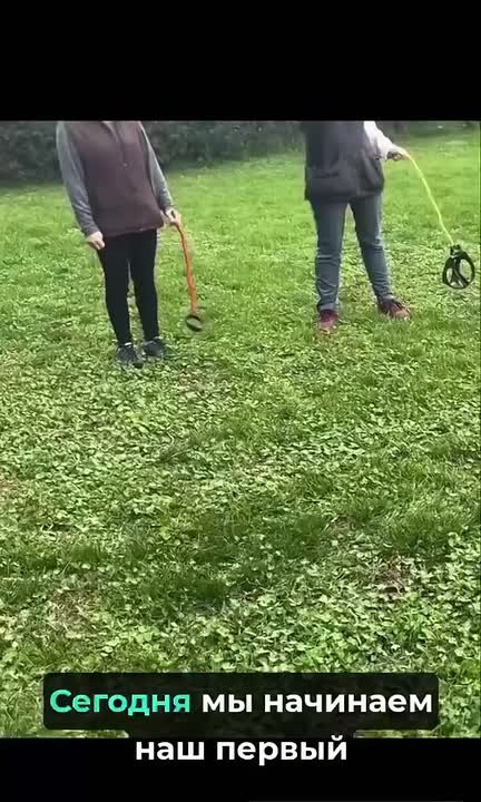 Невидимых собак начали выгуливать в Европе