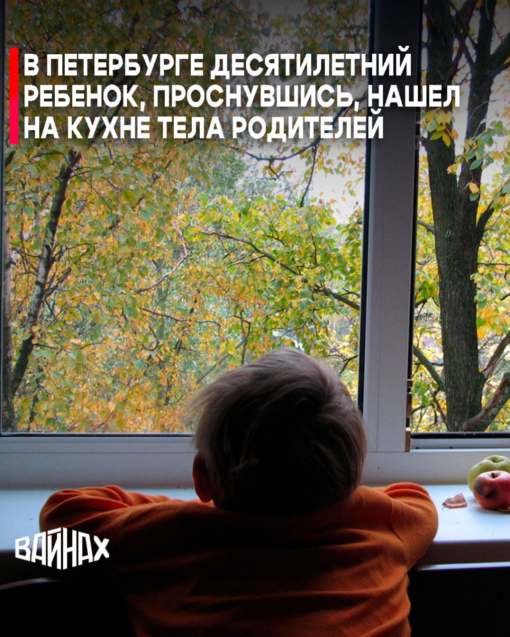 Десятилетний ребенок, проснувшись утром, обнаружил в квартире в Приморском районе Санкт-Петербурга тела своих родителей, сообщил РИА Новости источник в оперативных службах региона, СК России возбудил уголовное дело о...