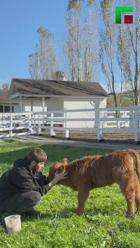 В Грозном открывается первая контактная ферма с уникальными животными и экологичной атмосферой