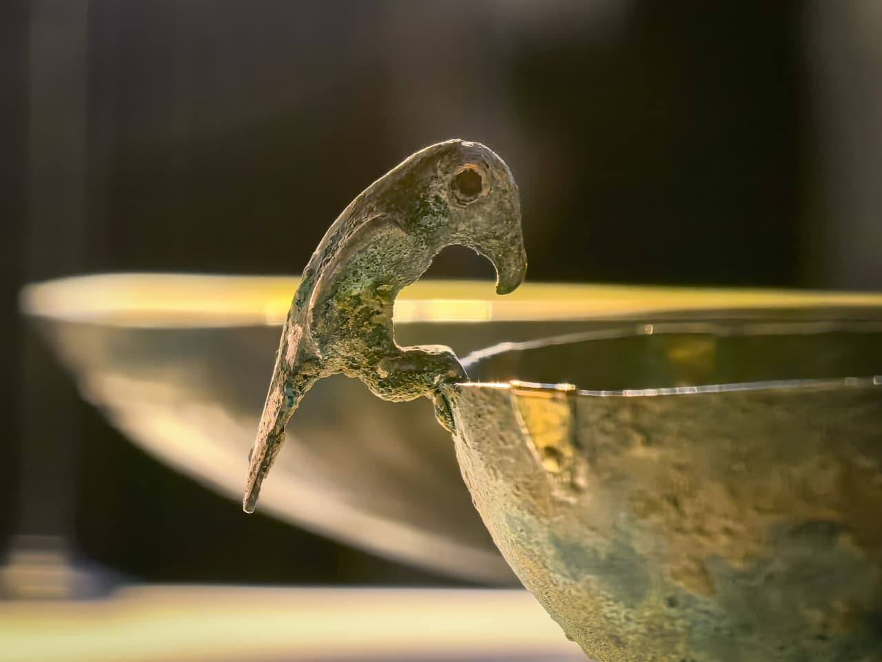 30 октября в 5 зале Исторического музея впервые был показан комплекс предметов, обнаруженных в ходе новых археологических исследований некрополя Алхан-Калинского городища