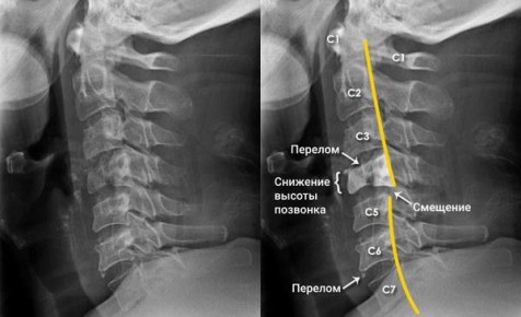 Еженедельная авторская колонка;