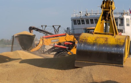 Торговля продукцией АПК между Россией и Китаем с начала года выросла на 15%