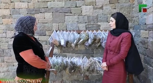 Кхойкху шуьга Нохчийн Республикин къилба агор йолчу меттиге – Шаран кошта