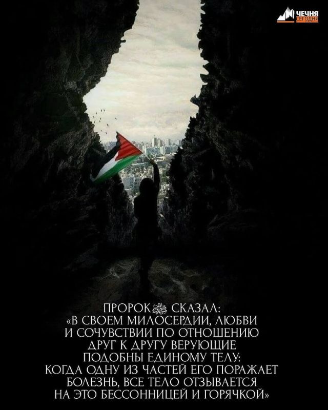  :.   ,            :       ,         ...