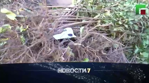 Смотрите сегодня в 21:00!. Итоговый выпуск программы «Новости 7» на телеканале «Грозный»