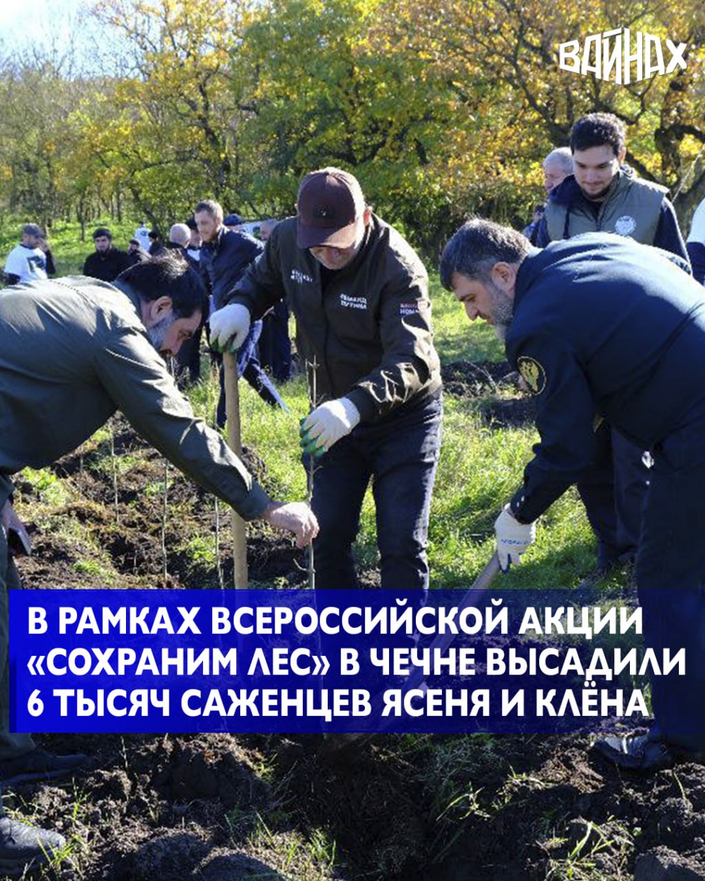 На территории Грозненского лесничества состоялось центральное мероприятие Всероссийской акции «Сохраним лес»