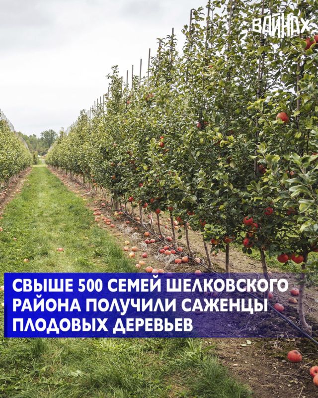         ,                 ...