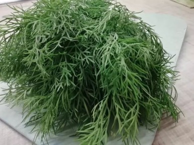 Как правильно заморозить укроп: готовить вкусные блюда можно будет круглый год