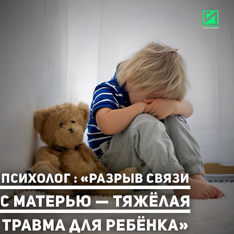  ,   ߻             -,       ...