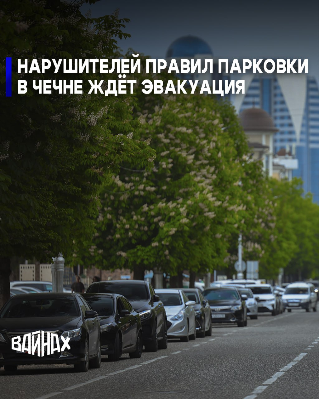 Сотрудники Госавтоинспекции Чеченской Республики проводят рейды по выявлению водителей, которые паркуются в неположенных местах, в том числе на остановках общественного транспорта