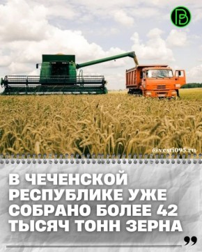 По состоянию на сегодняшний день посевная площадь составляет 10 300 гектаров, что полностью соответствует запланированным показателям осенней полевой кампании