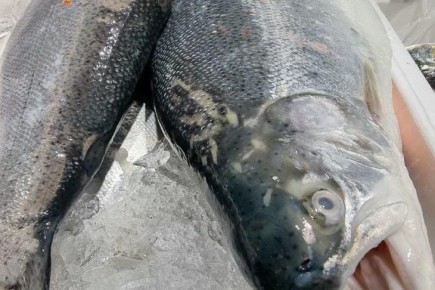 Почему запах рыбы въедается в кожу: проверенные способы нейтрализации с лимоном и сталью