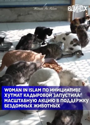По инициативе руководителя проекта Woman in Islam Хутмат Кадыровой в Чеченской Республике запускается масштабная акция «Помоги коту пережить зиму», которая призвана оказать помощь животным в период холодов