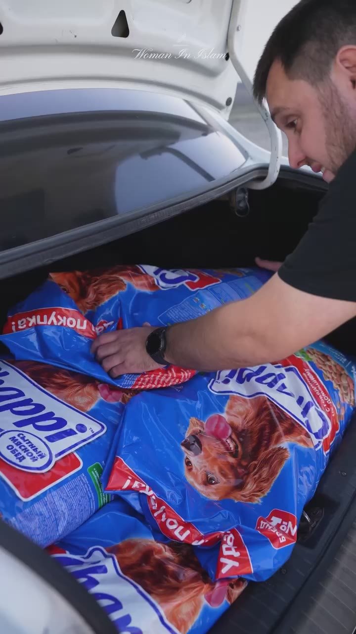 По инициативе руководителя проекта Woman in Islam Хутмат Кадыровой в Чеченской Республике запустили акцию «Помоги коту пережить зиму»