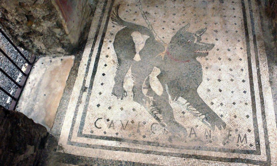     CAVE CANEM,     , , II .  .