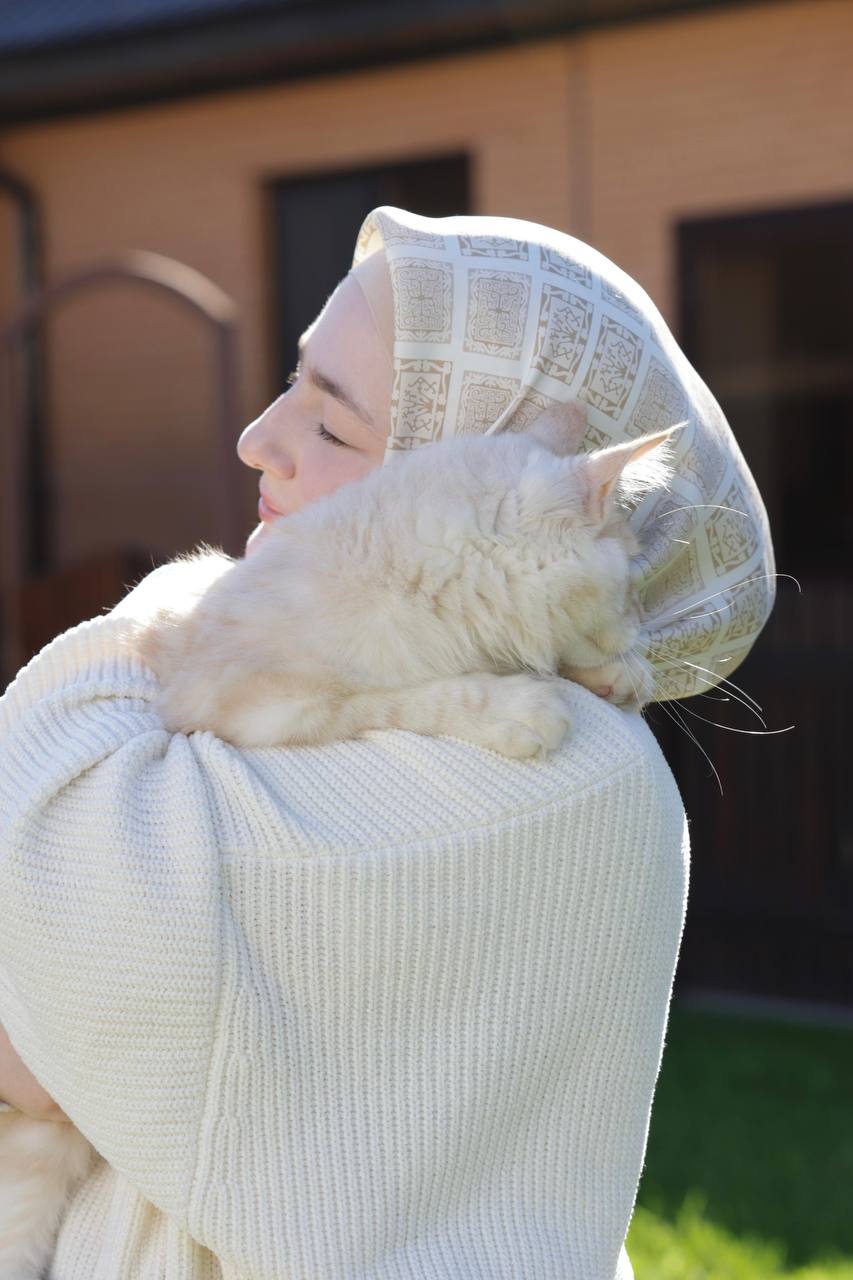 В Чеченской Республике проходит акция «Помоги коту пережить зиму», запущенная по инициативе руководителя проекта Woman in Islam Хутмат Кадыровой В Чеченской Республике проходит акция «Помоги коту пережить зиму», запущенная по инициативе руководителя проекта Woman in Islam Хутмат Кадыровой
