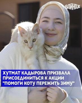Акция в помощь животным запущена в Чеченской Республике по инициативе руководителя проекта «Woman in Islam» Хутмат Кадыровой