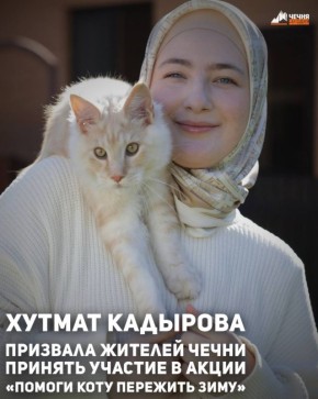 В Чеченской Республике проходит акция «Помоги коту пережить зиму», запущенная по инициативе руководителя проекта Woman in Islam Хутмат Кадыровой