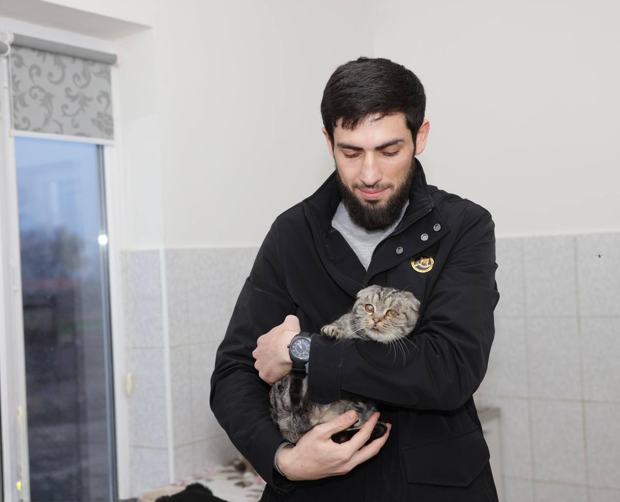 Об этом рассказала основатель приюта «Хатико» Айна Идалова Об этом рассказала основатель приюта «Хатико» Айна Идалова