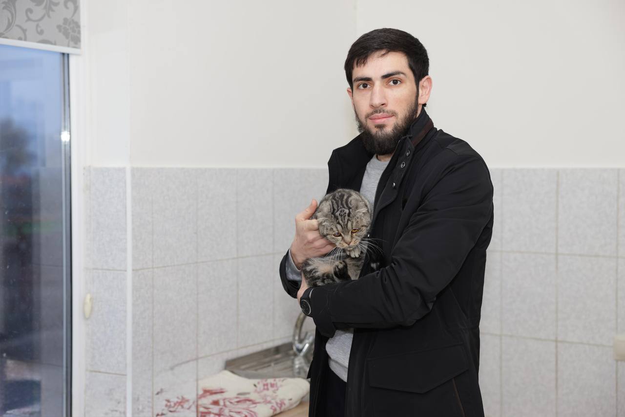 Об этом рассказала основатель приюта «Хатико» Айна Идалова Об этом рассказала основатель приюта «Хатико» Айна Идалова