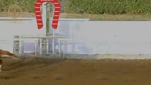 Скакун «Ахмат Рэйсинг» Принц Роуз одержал историческую победу в престижных скачках в ОАЭ