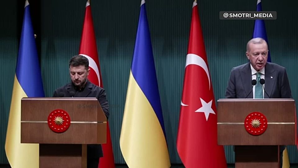 Эрдоган и Зеленский обсудили возможные варианты окончания военного конфликта на Украине