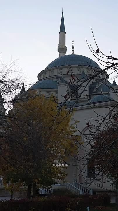 Заместитель Муфтия ЧР Арби Хабзиев: дети не должны страдать из-за ссор родителей и становиться предметом их манипуляций