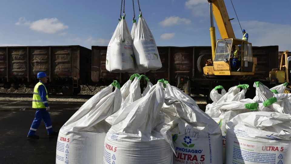 Экспорт российских удобрений в Африку вырос на треть за 10 месяцев