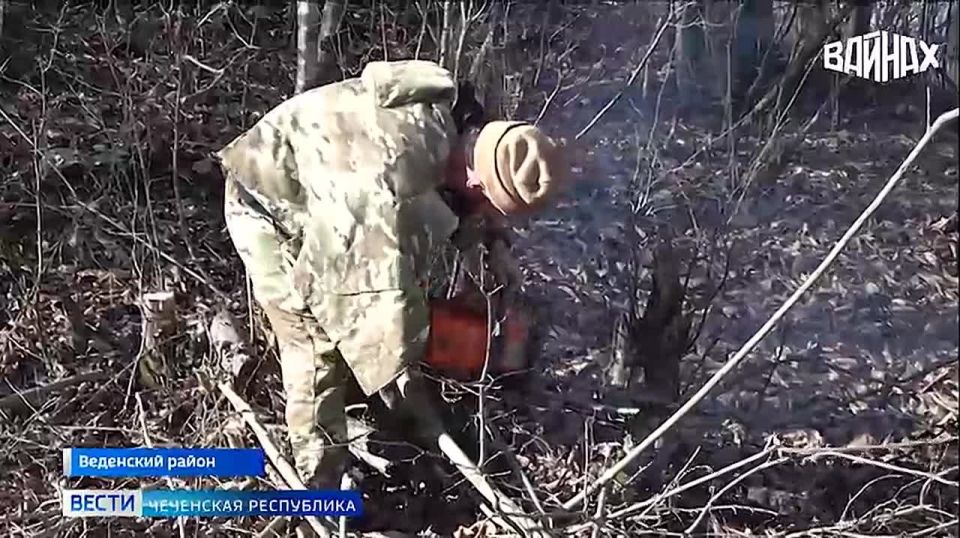 Свыше трехсот человек вышли на масштабный субботник в селе Тазен-Кала Веденского района Чеченской Республики