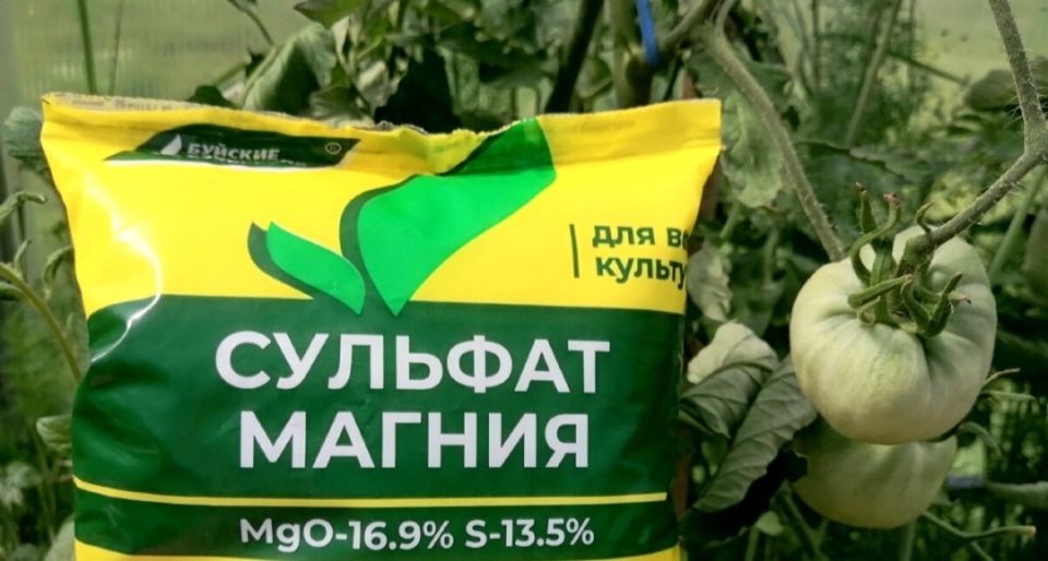 Сульфат магния: ключ к успешному урожаю томатов