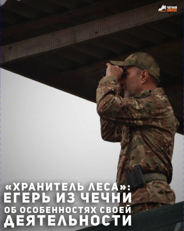 Проезжая мимо густого леса, человек может не подозревать, насколько удивительным и таинственным может быть это природное пространство