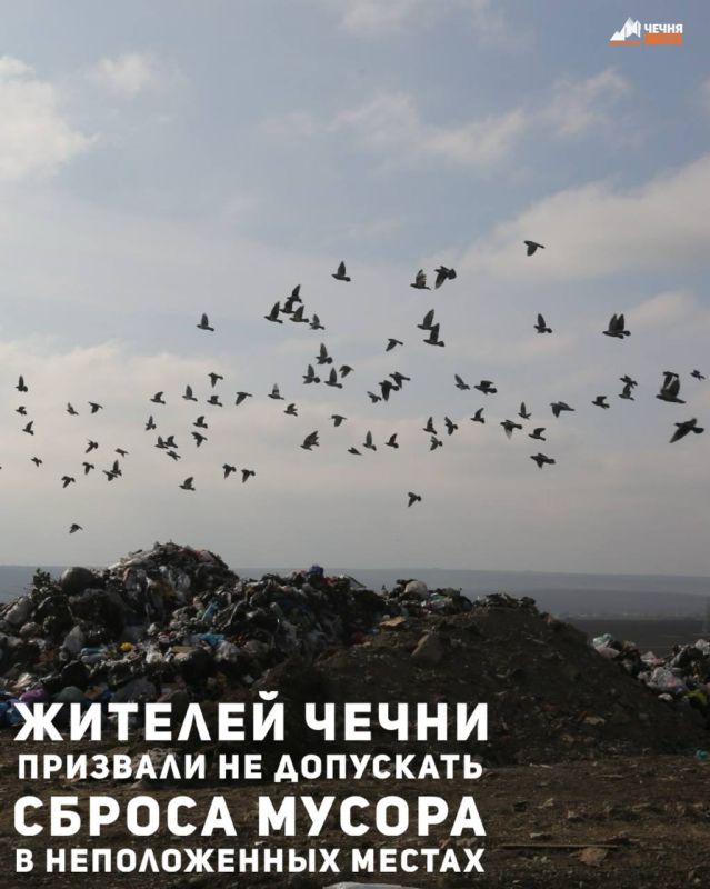 Министр природных ресурсов и охраны окружающей среды ЧР Шарпуди Абдулазизов обратился к жителям Чечни с призывом соблюдать законы, направленные на защиту природы