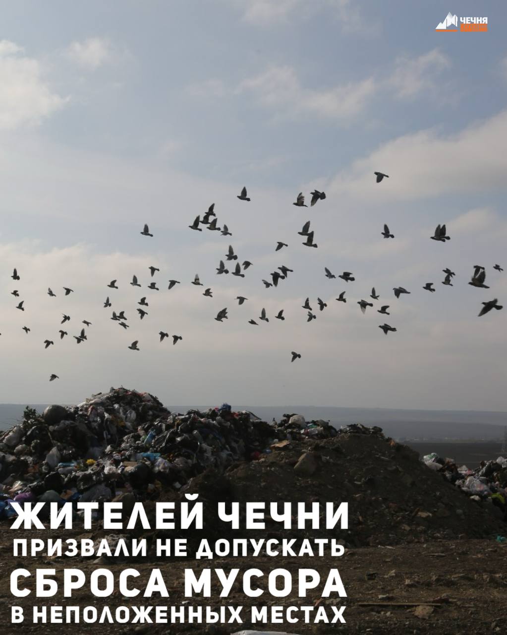 Министр природных ресурсов и охраны окружающей среды ЧР Шарпуди Абдулазизов обратился к жителям Чечни с призывом соблюдать законы, направленные на защиту природы