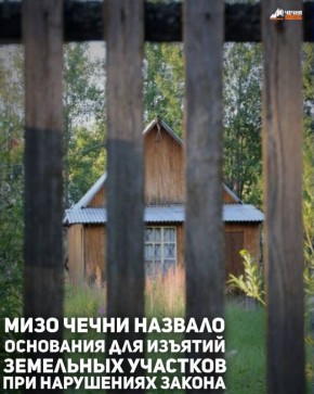      17                 ,     